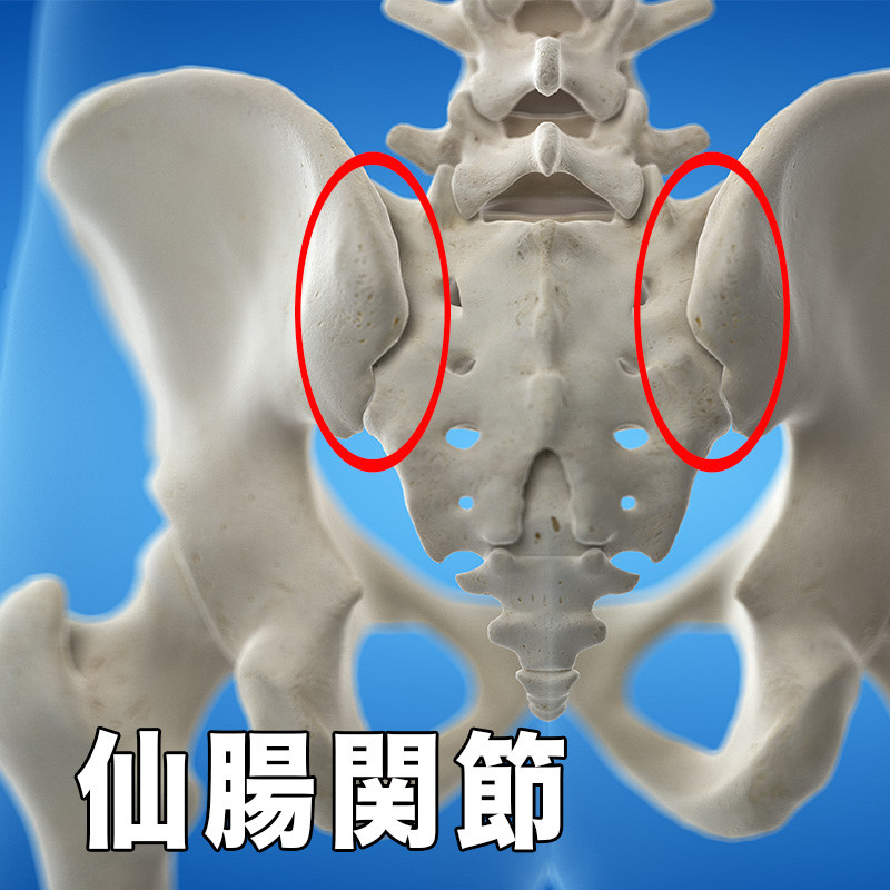 仙腸関節の不調画像